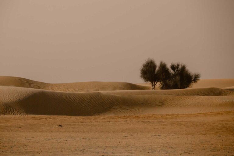 Dubai - Verenigde Arabische Emiraten