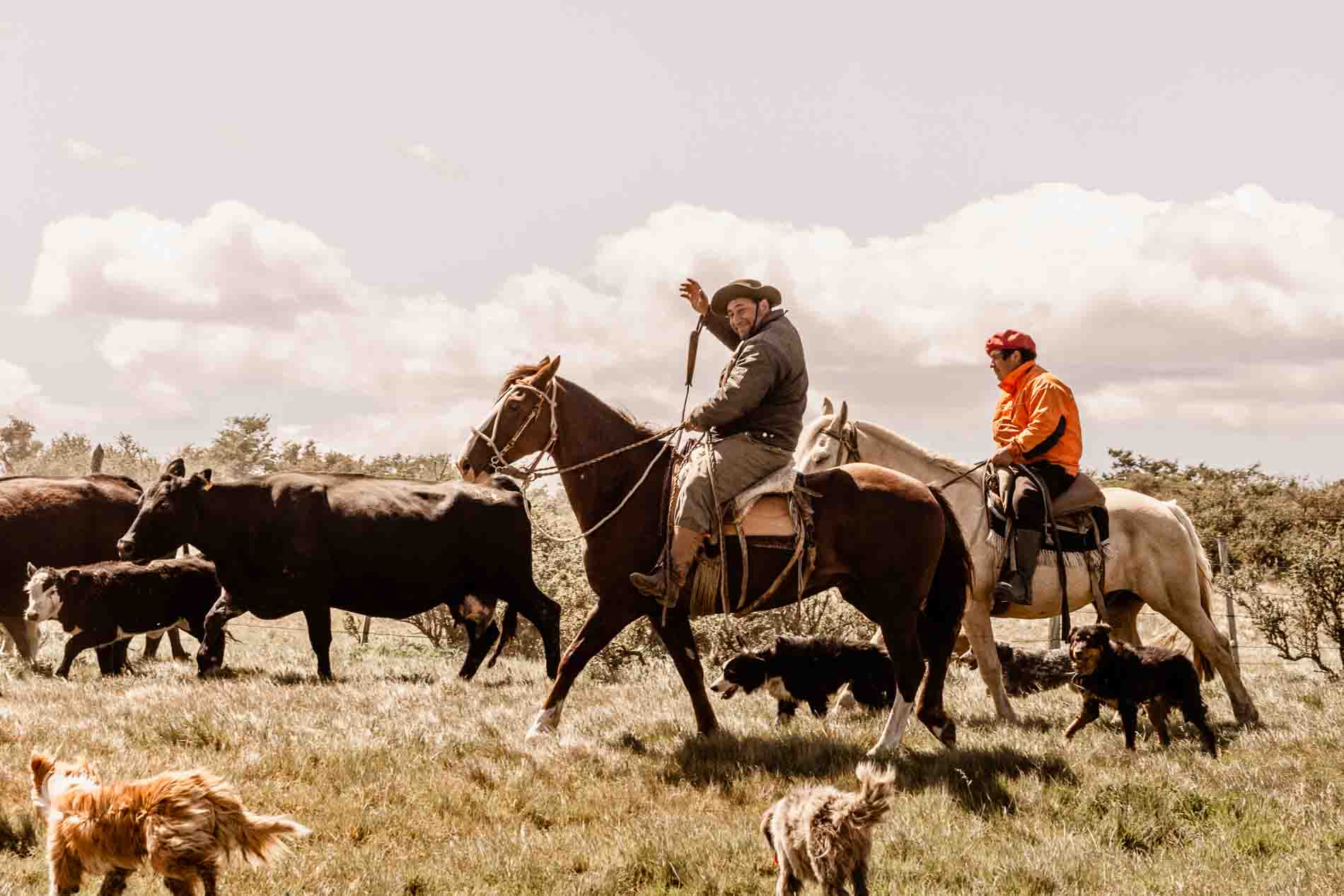 Patagonië - Chili