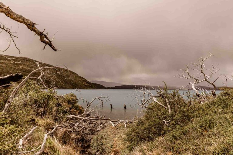 Lake Pehoé- Patagonië