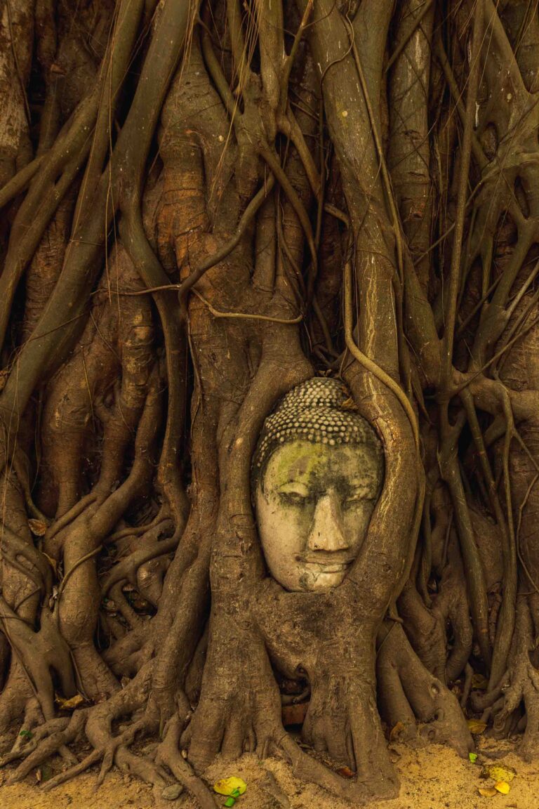 Ayutthaya- Thailand